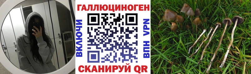 Галлюциногенные грибы GOLDEN TEACHER  где можно купить наркотик  Ковылкино 