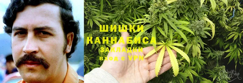 где найти   Ковылкино  Каннабис семена 